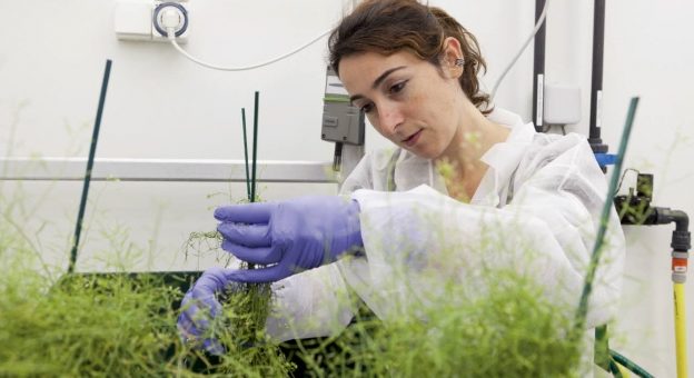 Comment devenir Biologiste En Environnement ?