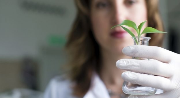 Comment devenir Ingénieur / Ingénieure En Production Et Expérimentations Végétales ?